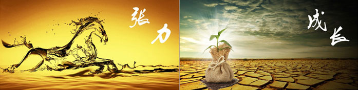 企（qǐ）業（yè）發展要學（xué）會（huì）取他人之長、補自己之短